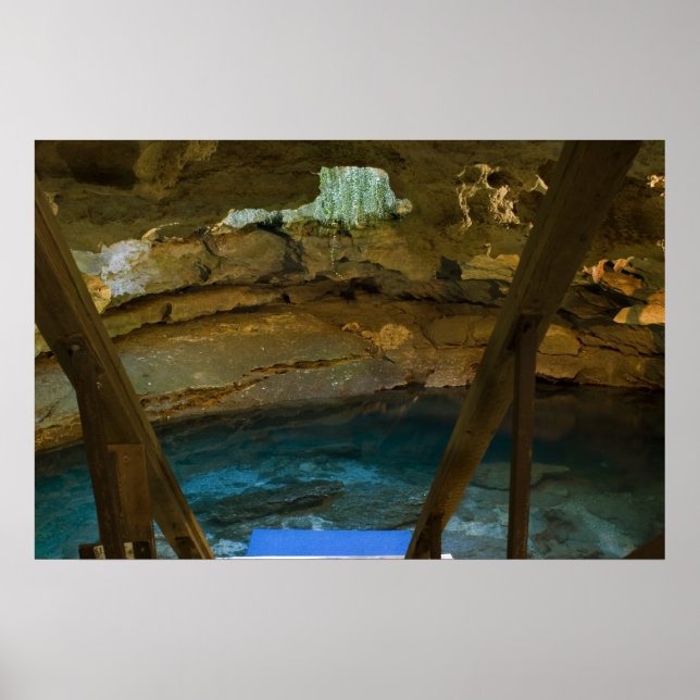 Impressão Primavera (Frente)