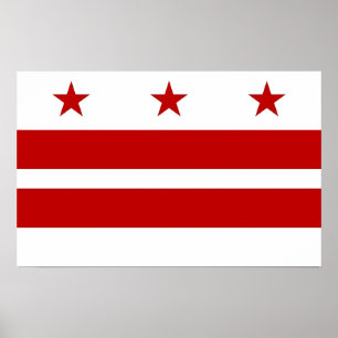 Impressão quadro com a bandeira do Washington DC,