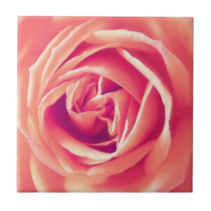 Impressão rosa de coral