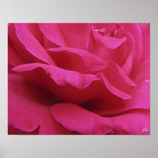 impressão rosa quente