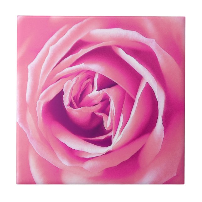 Impressão rosa rosa (Frente)