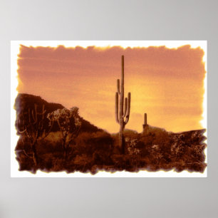 impressão Sonoran Sunset
