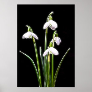 Impressão Sparkling de Snowdrops