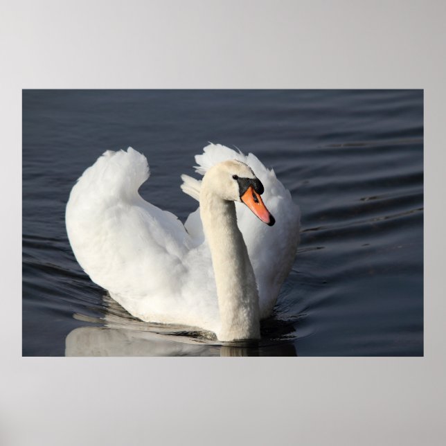 Impressão Swan (Frente)