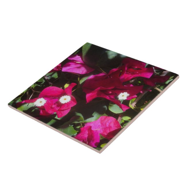 Impressão Tropical Floral, Retrohumor (Lateral)