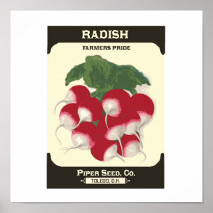 Impressão vegetal do poster do pacote da semente