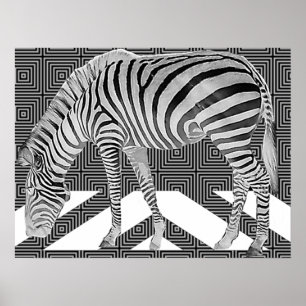 Impressão verdadeiro do poster da zebra