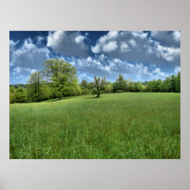 Impressão Verde Appalachian (Frente)