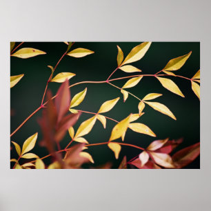 Impressão vermelho e Dourado