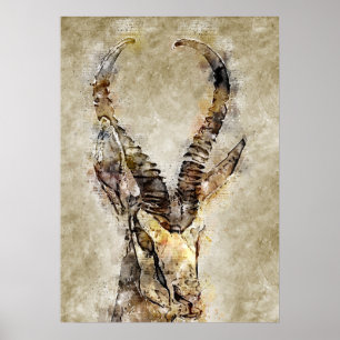 Impressão Wall Art Gaqzelle