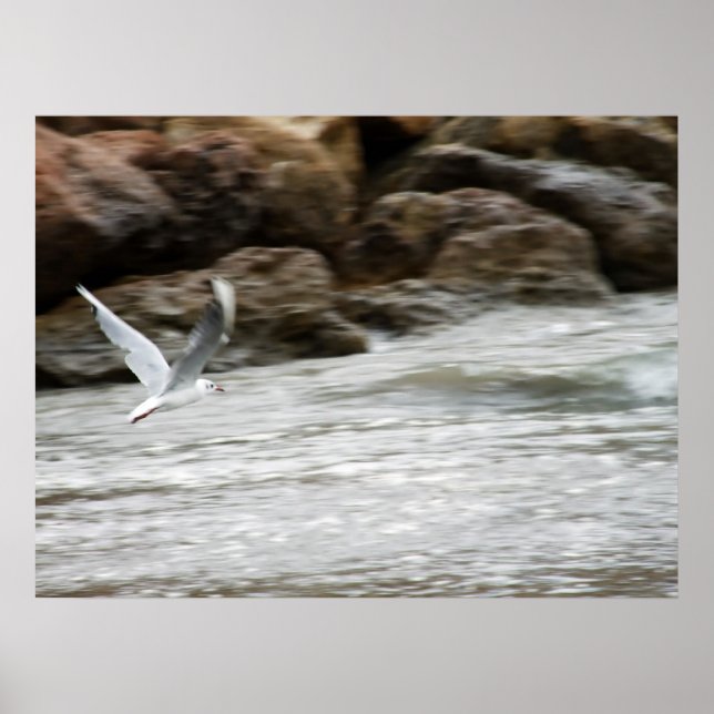 Impressão Wind Master (Frente)