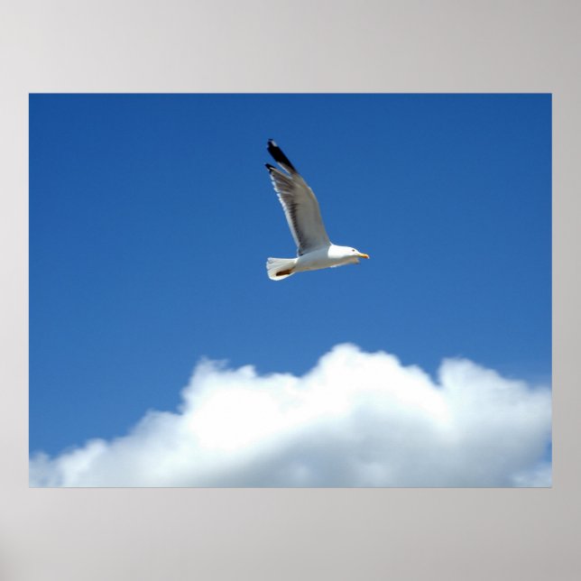 Impressão Wind Master (Frente)