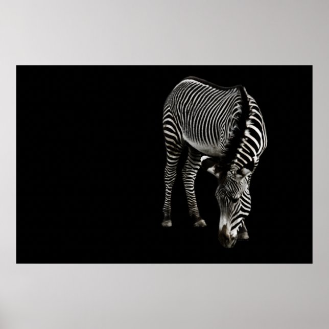 Impressão Zebra P4435 (Frente)