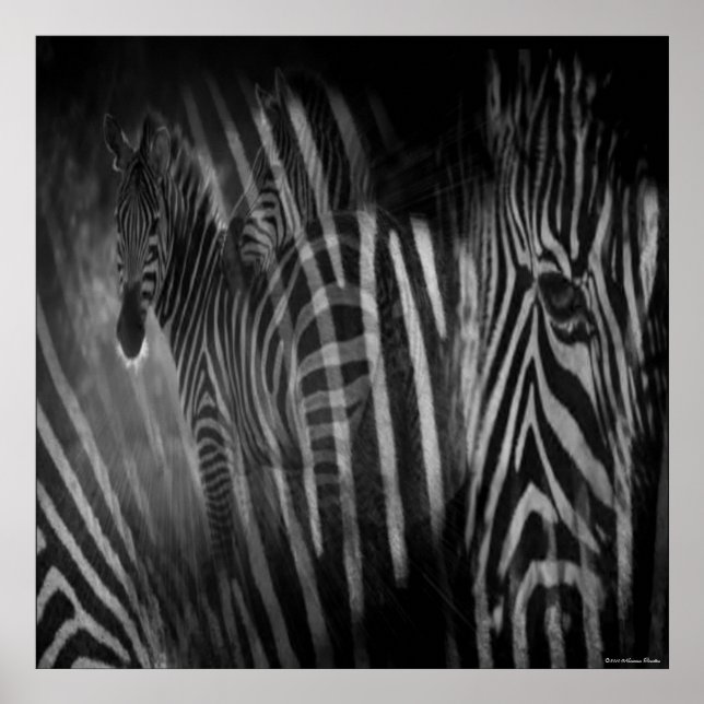 Impressão Zebras (Frente)