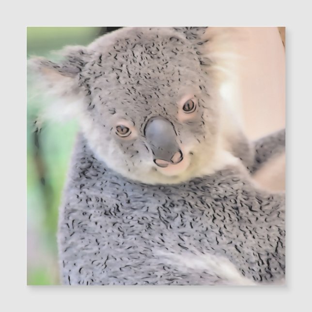 Impressionante Animal - Koala (Frente)