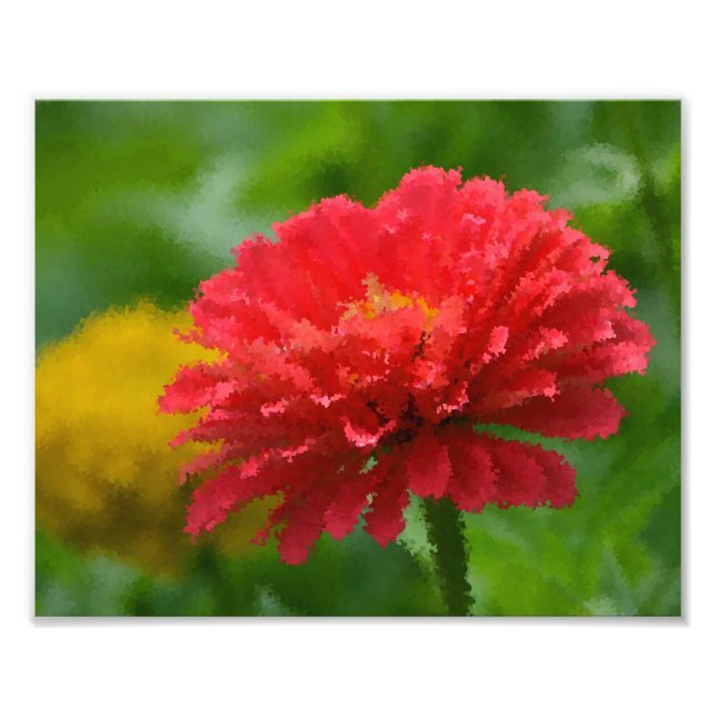 Impressionista Impressão de Foto Zinnia (Frente)