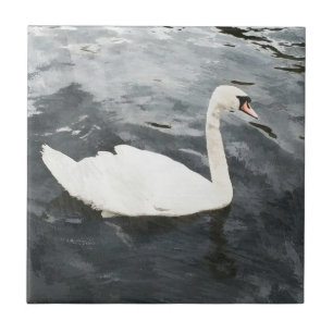 Impressionista Swan