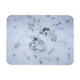 Impressões animais no ímã flexível da neve
