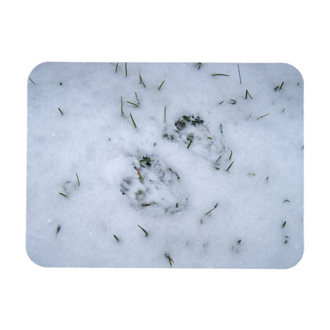 Impressões animais no ímã flexível da neve (Horizontal)