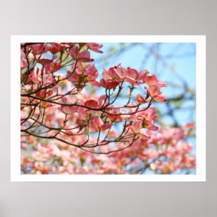 Impressões artísticas de flores de árvores Cornus