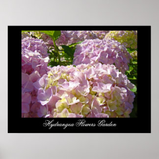 Impressões artísticas de flores de Hortênsia Rosa 