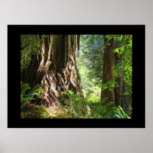 Impressões da arte da floresta das árvores da