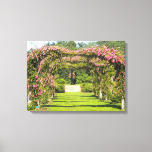 Impressões da Canvas Rosa