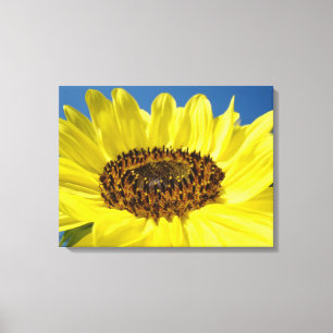 impressões de arte canvas Amarelo Céu Azul