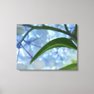 Impressões de arte de Canvas azul Hydrangea Flower