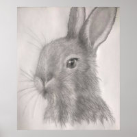 Impressões de Arte de Coelho, Posters