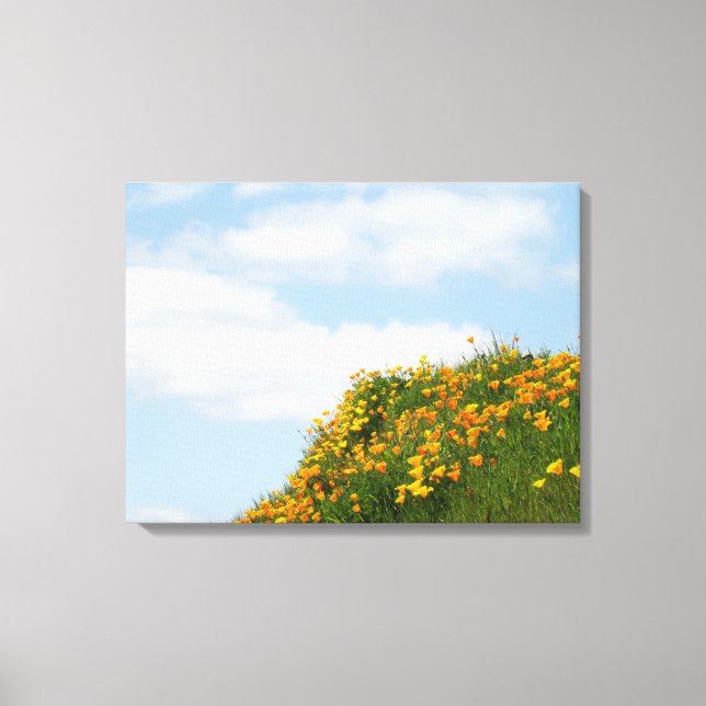 Impressões de arte de encosta de Meadow Hillside C (Frente)