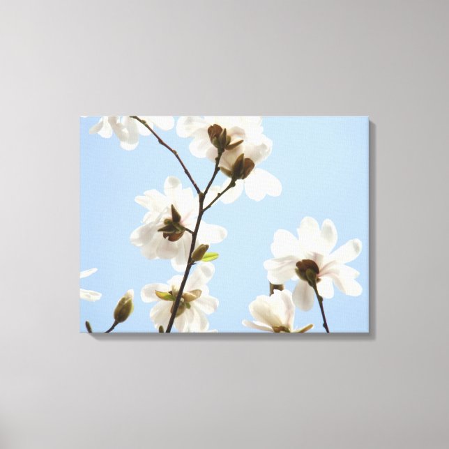 Impressões de arte de flores da árvore de magnólia (Frente)