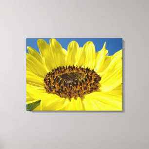 Impressões de arte de girassol coloridas amarelo b