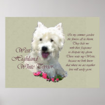 Impressões de arte de terrier branco da West Highl