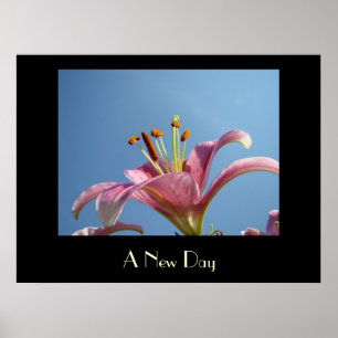 Impressões de arte de UM NOVO DIA Flores de Lírio