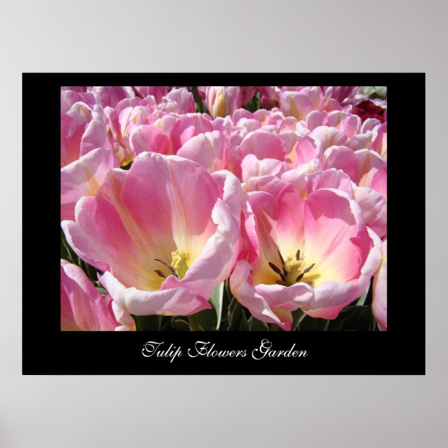 Impressões de arte do Jardim de Flores de Tulipa T (Frente)