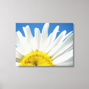 Impressões de arte em tela de flores de margaridas