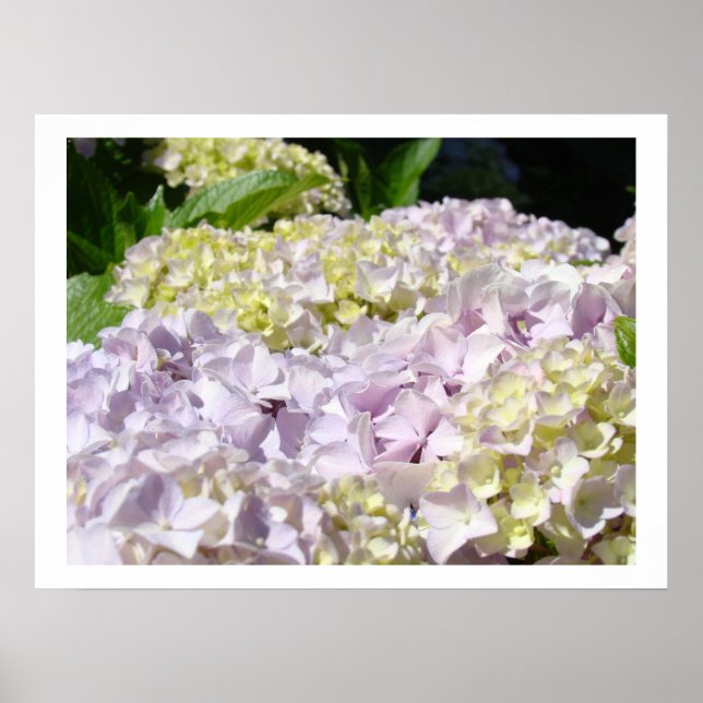 Impressões de arte fina de jardim de flores de Hor (Frente)