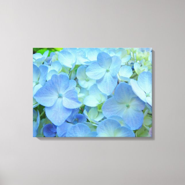 Impressões de arte Floral Blue Hydrangea Fllowers (Frente)