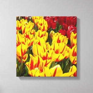 Impressões de Arte Floral em Tela 12x12 Tulipas Ve