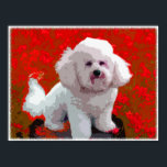 Impressões de Arte Pop do Bichon Frise<br><div class="desc">Adoro a Frise Bichon? Aqui está sua chance de mostrar essa raça adorável para o mundo,  com uma pintura digital colorida,  divertida,  pop. Mudar para um tamanho de impressão padrão facilitará suas opções de enquadramento!</div>