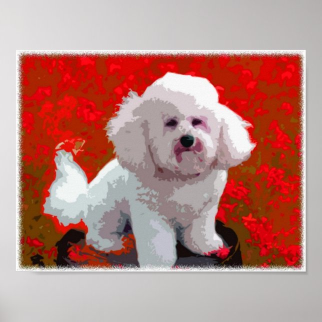 Impressões de Arte Pop do Bichon Frise (Frente)