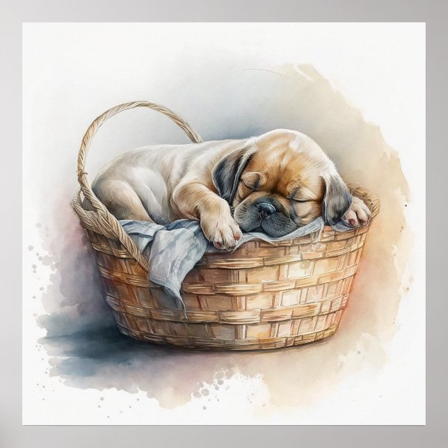 Impressões de Bovinos para Enfermeiro, poster de C (Frente)