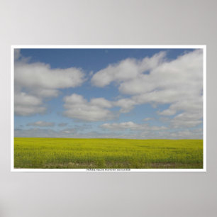 Impressões de Campos da Pradaria Paisagens de Mani