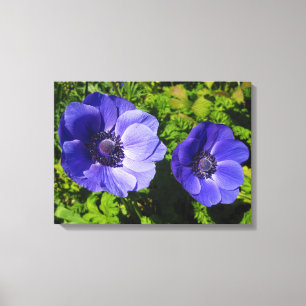 Impressões de Canvas Floral Borralheiras Púrpura