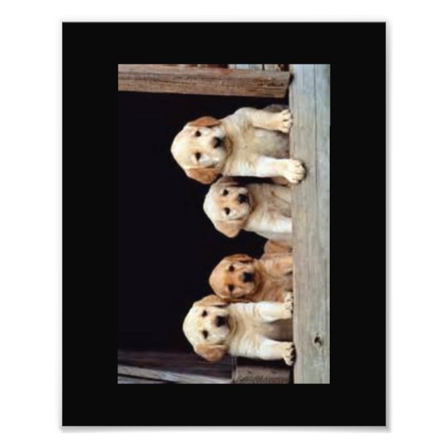 IMPRESSÕES DE FOTO PERSONALIZADAS 8 X 10 (Frente)