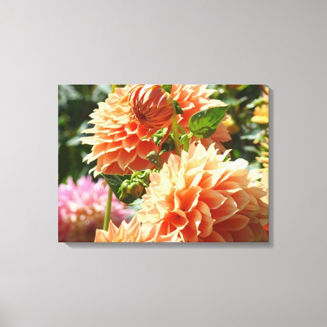 Impressões de fotografia em tela de flores de dáli (Frente)