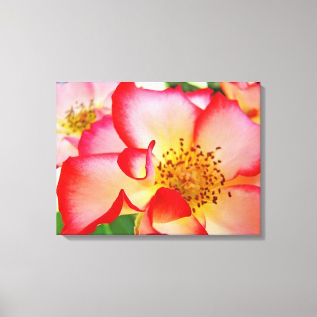Impressões de fotografia em tela de jardim floral  (Frente)
