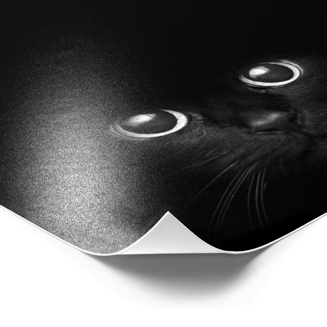 Impressões de Fotografias Personalizadas (Borda)