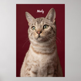 Impressões de Fotos Personalizadas com Nome de Cac